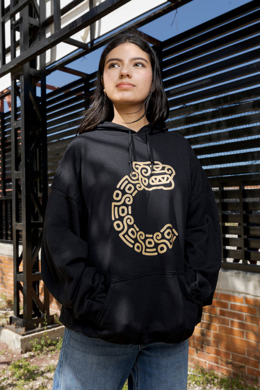 SUDADERA CON CAPUCHA PRECIO MÁS IVA.